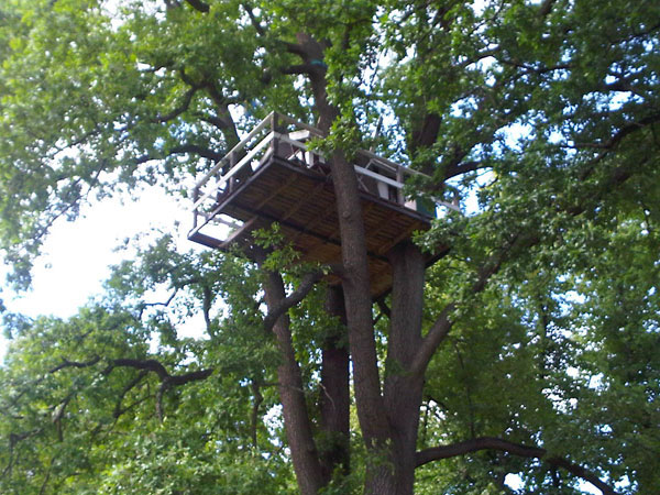 woodpecker-hotel
