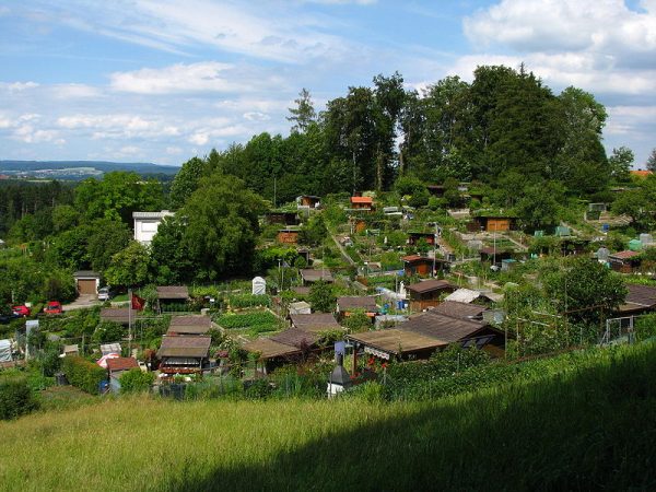 800px-Zürich_-_Käferberg_-_Affoltern_IMG_3194 Typical allotment garden on Käferberg hill in Zürich, Switzerland