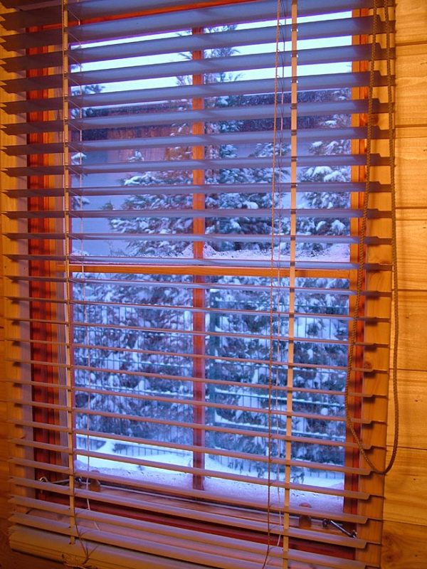 Window6