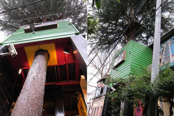 Treehouse-Hideaway-cafe