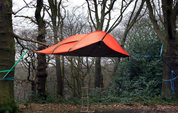 Tentsile Stingray