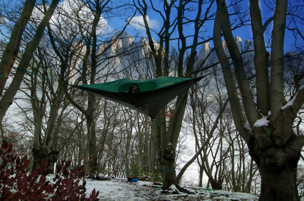 Tentsile Stingray in Trees